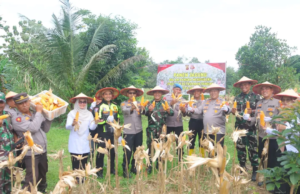 Polresta Samarinda Gelar Panen Jagung Dukung Asta Cita Indonesia Emas 2025