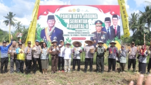 Kolaborasi TNI, Polri, dan Pemda Warnai Panen Raya Jagung di Samarinda