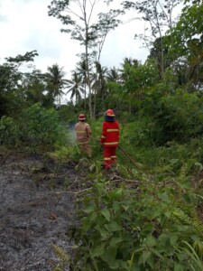 Angin Kencang Sebabkan Api Membesar, Kebakaran Lahan Ditangani Cepat