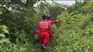 Orang Hilang di Hutan Loa Tebu, Damkarmatan Kukar Lakukan Penyisiran
