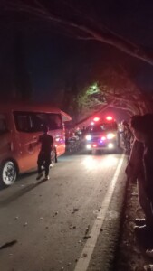 Pohon Besar Ambruk Sebabkan Lakalantas Maut di Tenggarong Seberang