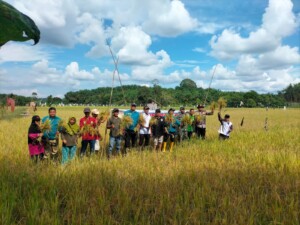 Desa Lebak Mantan Gelar Panen Raya, Wujud Kebersamaan Jaga Ketahanan Pangan