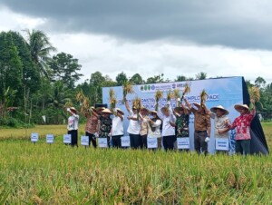 Kukar Raih Peringkat Ketiga Nasional, Jadi Motor Ketahanan Pangan Kalimantan