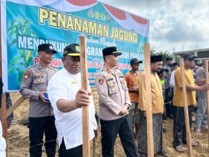 Sinergi Polsek Muara Wahau dan Ponpes Al Khairaat, Tanam Jagung Hibrida di Lahan 1 Hektar