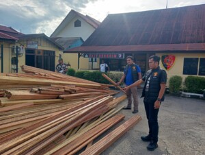 Bongkar Jaringan Kayu Ilegal, Polsek Loa Kulu Amankan Truk dan Ribuan Batang Meranti