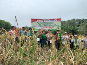 Polsek Loa Kulu Panen Jagung Bersama Kelompok Tani, Dukung Ketahanan Pangan Nasional Polri