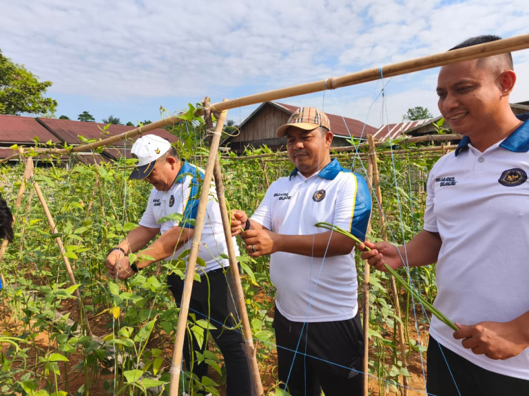 Perkuat Ketahanan Pangan, Lapas Tenggarong Panen Kacang Panjang Bersama Kakanwil Ditjenpas Kaltim